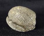 Paraspirifer bownockeri (STEWART 1927) - Bild &copy; FossNet FossilienStore